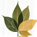 Symbol natury